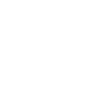 The CSI Group