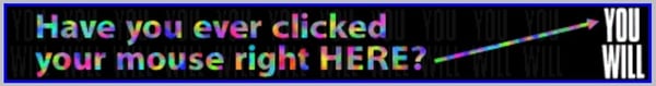 the first banner ad