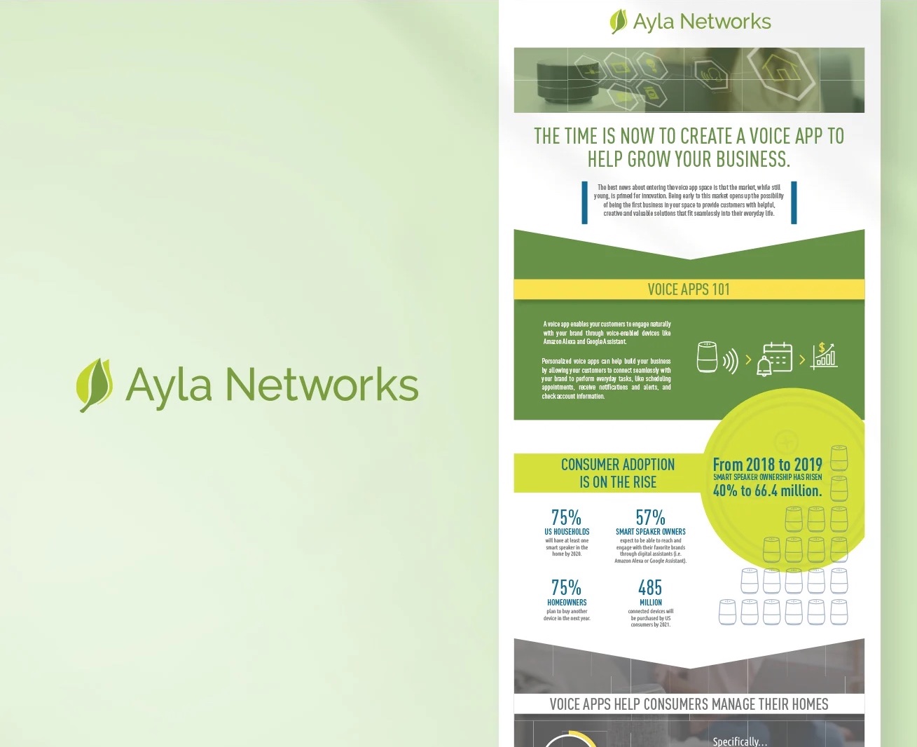 2_Ayla-Infographic-left